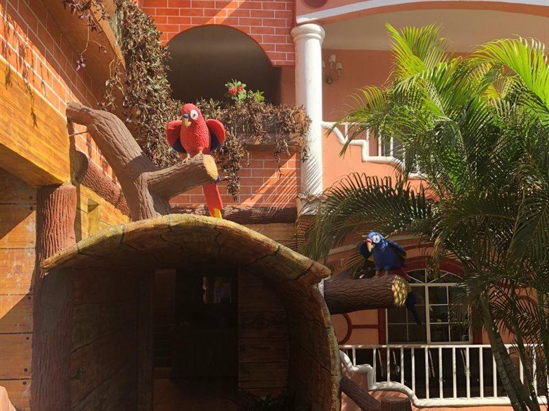 Hotel Residencia Del Sol Guatemala-Stad Buitenkant foto